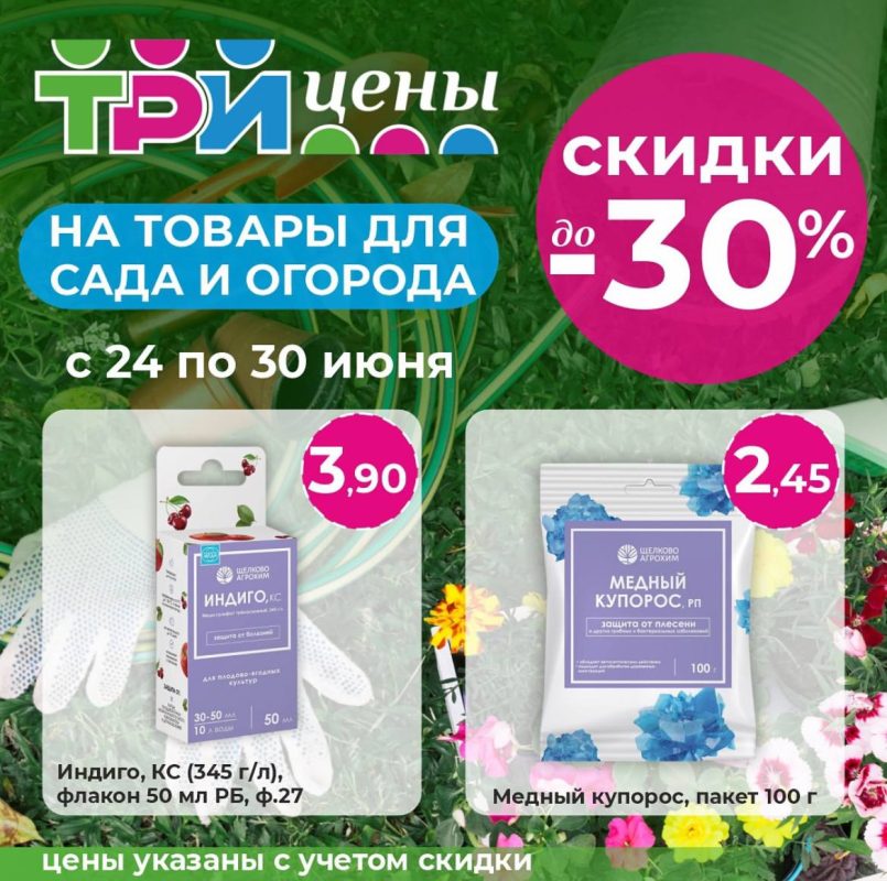 photo_2024-06-26_12-29-26