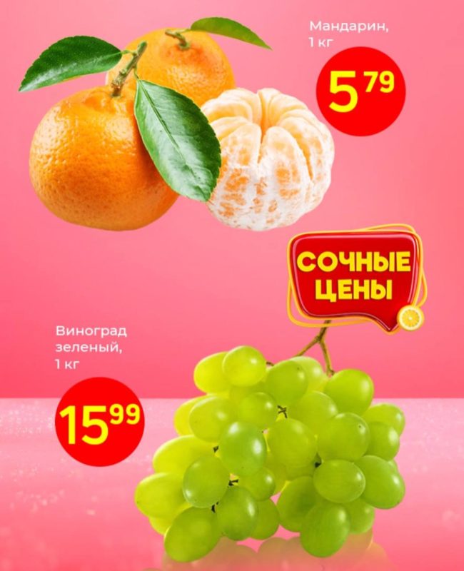 photo_2025-02-26_12-00-19